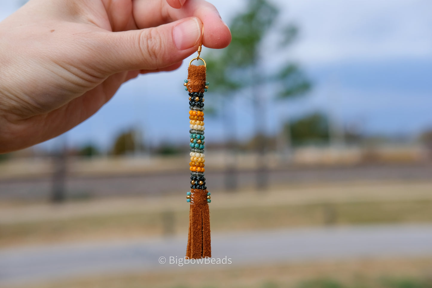 Picasso Turquoise and Black Buffalo Tail Earrings