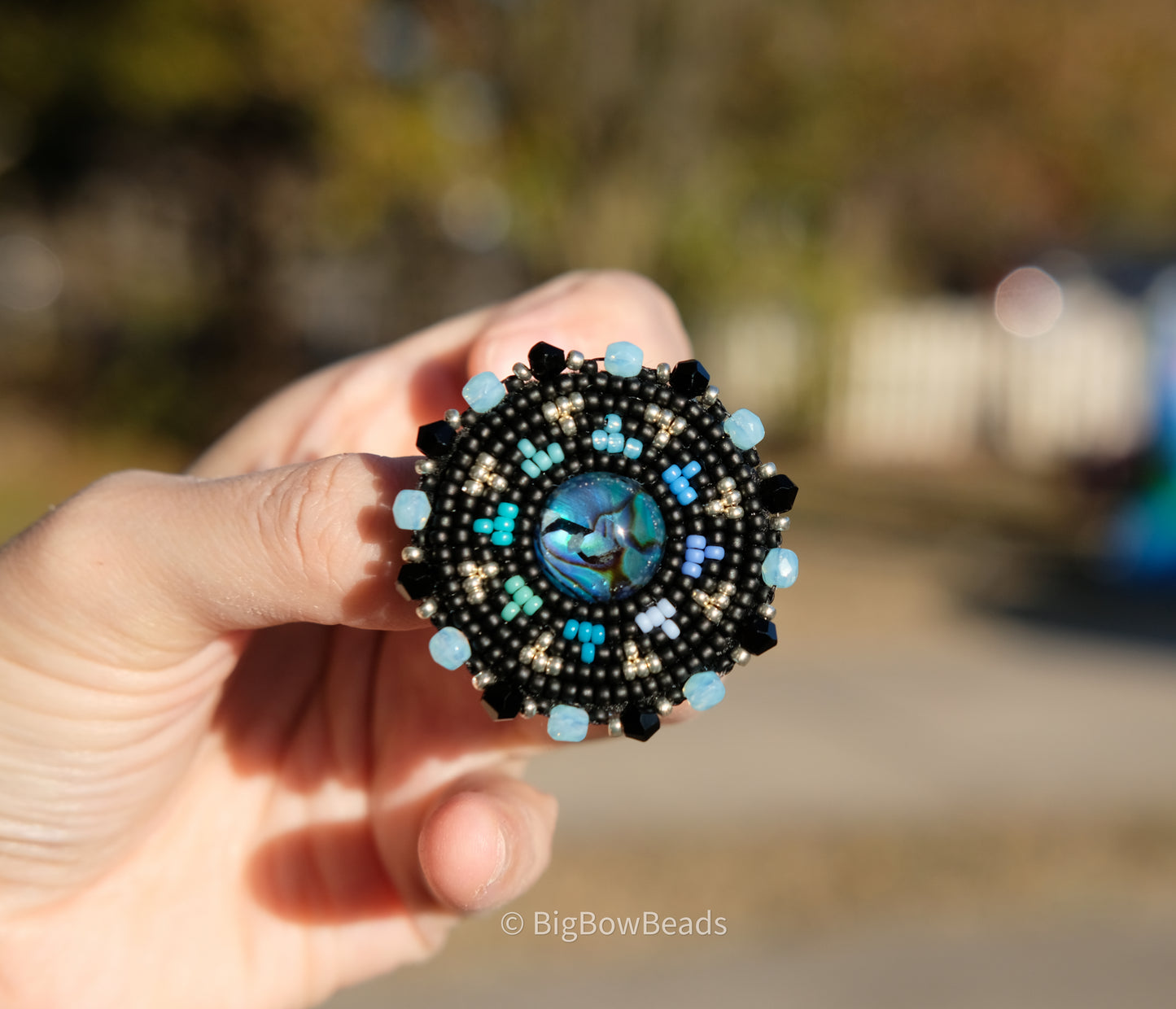 Blue Abalone Circle Earrings