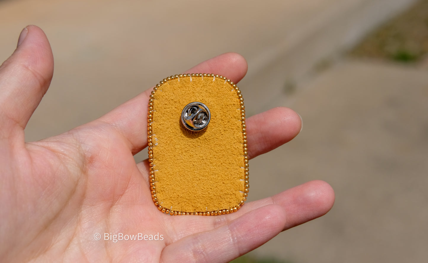 Star Shaped Animal pin