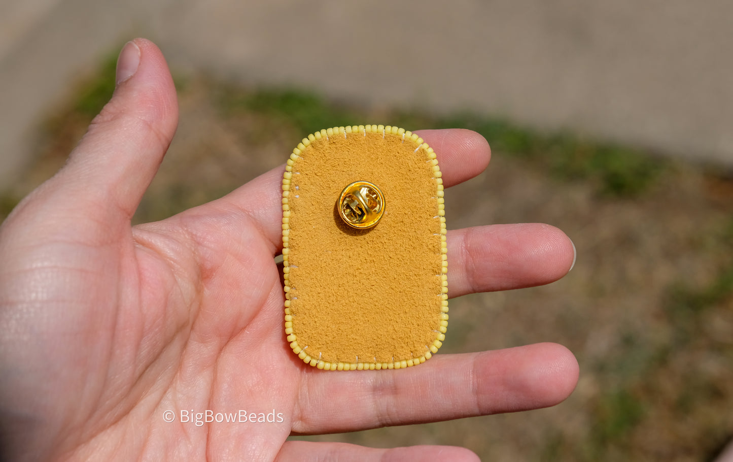 Shiny Fish Animal Pin