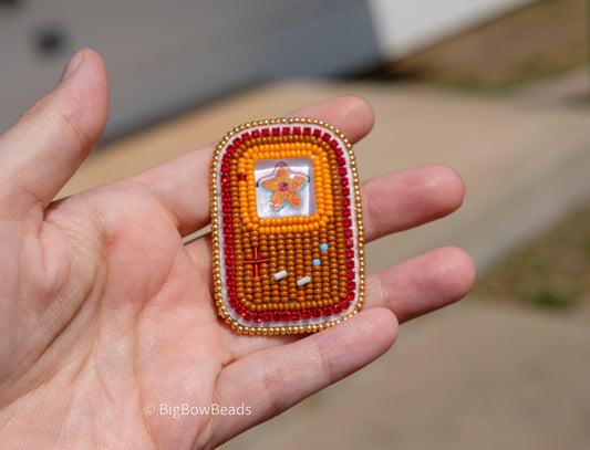 Star Shaped Animal pin